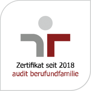 audit beruf und familie